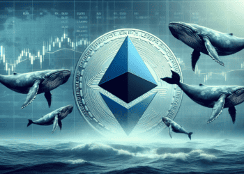 Why Betting Against Ethereum Could Pay Off, According to Crypto Whales