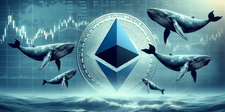 Why Betting Against Ethereum Could Pay Off, According to Crypto Whales