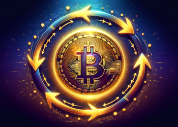 Keeping Faith in Bitcoin: Unraveling the 2017 Cycle and the Power of HODLing Strategy