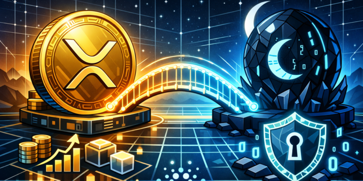 Hoskinson Urges Ripple to Adopt Midnight for XRP DeFi, Tokenization Growth